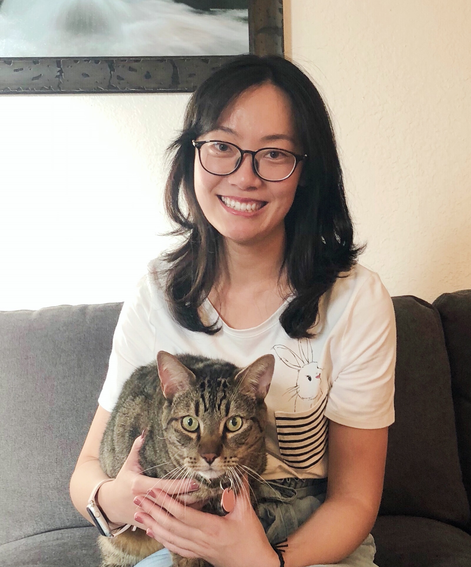 Vets For Less Low cost veterinary services in the Seattle & area